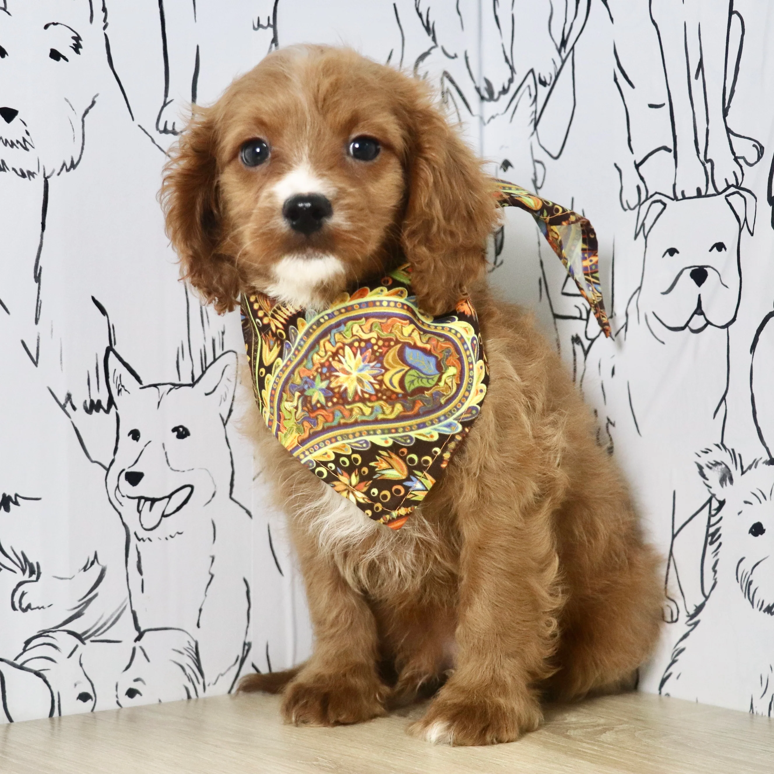 Thumbnail 2