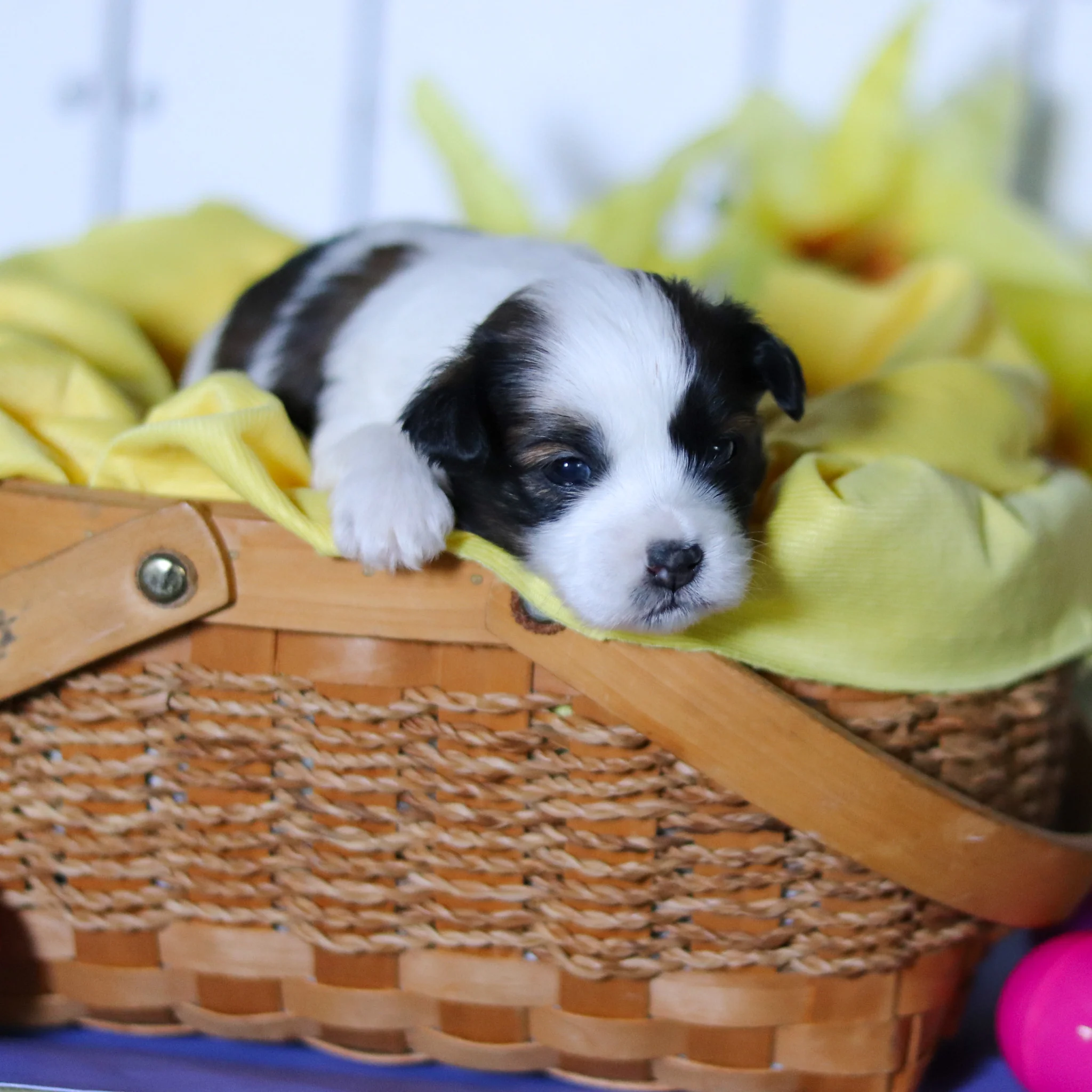 Thumbnail 7